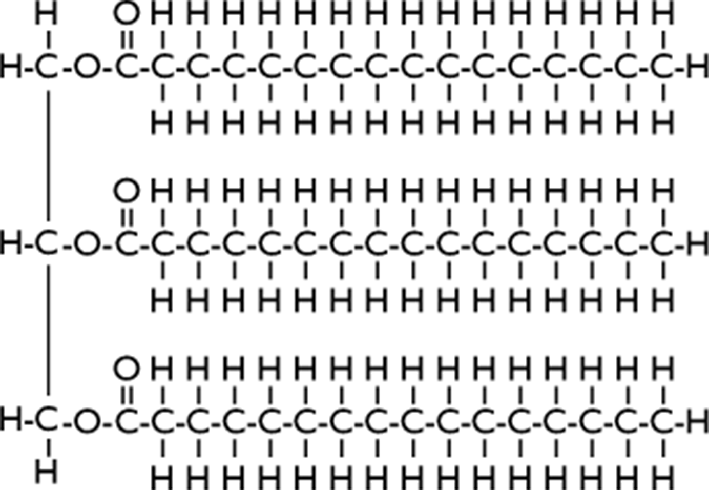 The chemical bonds of a tri-glyceride with a carbon-carbon double bond in each of its fatty acids.