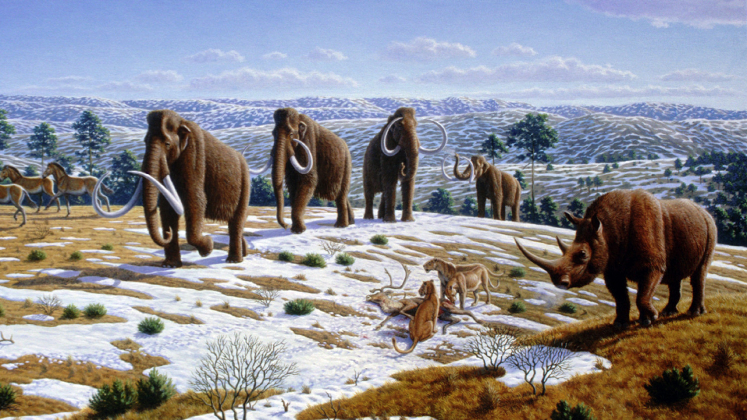 A frozen tundra with numerous species of large mammals.