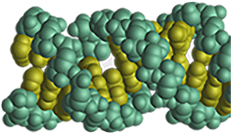 Side view of a double strand of R-N-A, depicted as a pair of loosely coiled strands made of clustered green balls clustered yellow balls.
