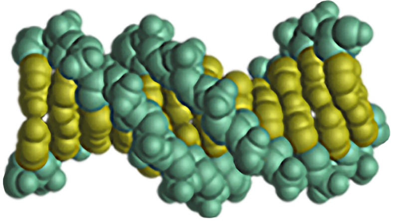 Side view of a D-N-A helix, depicted as a pair of tightly coiled strands of clustered green balls around a pair of clustered yellow balls.
