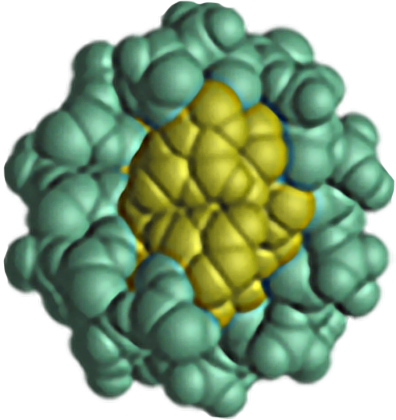 End view of a D-N-A helix, depicted as a cluster of yellow balls surrounded by clumps of green balls.