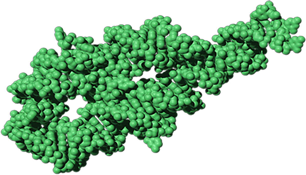 Group I intron, an elongated irregular structure consisting of clusters of green balls forming a pair of rings.