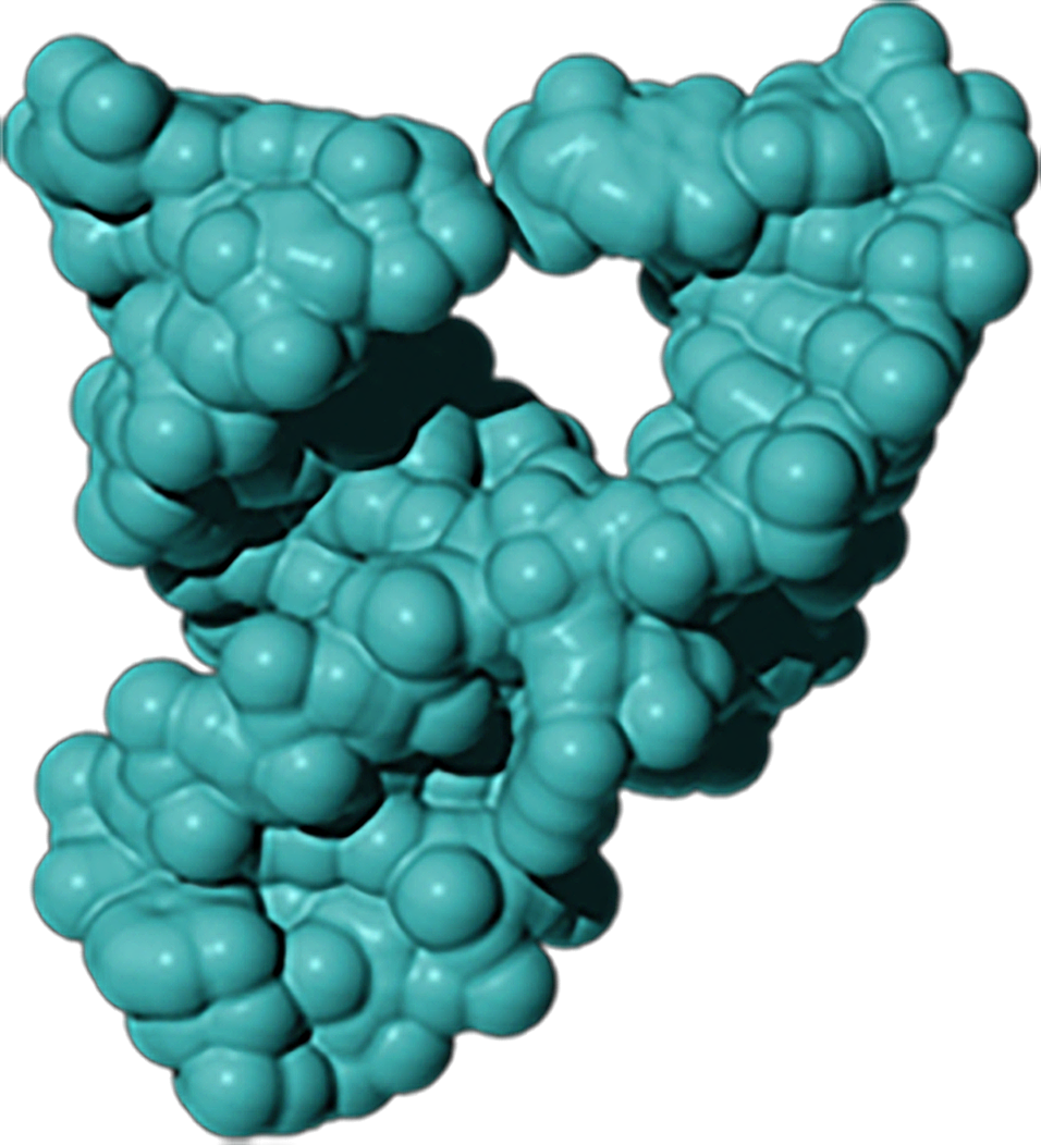Hammerhead ribozyme, a Y-shaped structure composed of irregular clusters of turquoise balls that coil around each other.