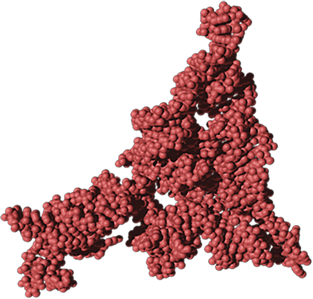 Ribonuclease P, a roughly triangular structure composed of irregular clusters of red balls that coil around each other.