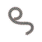 Ebola virus cross section
