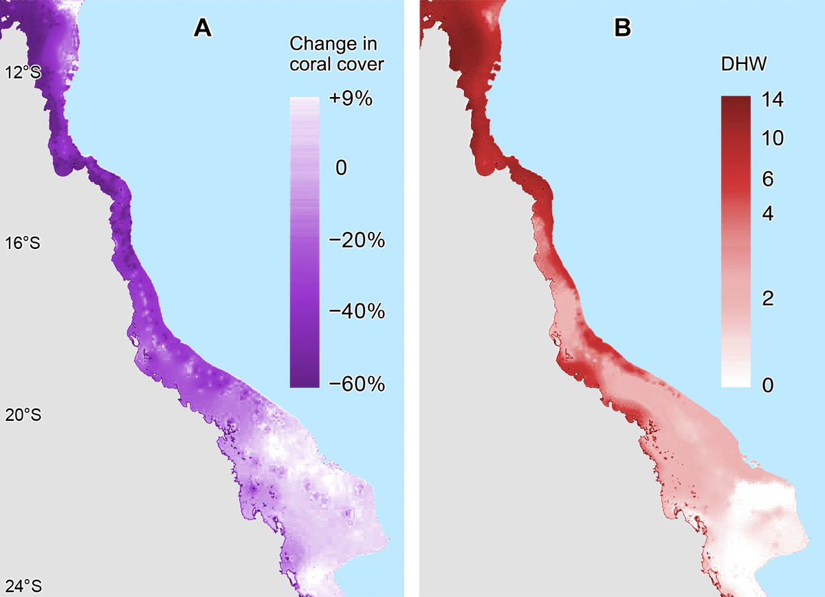 Two heat maps, labeled A and B, that show the same portion of Australia’s coast. The y-axis shared by both maps indicates latitude and ranges from 24 degrees south to 12 degrees south in increments of 4.