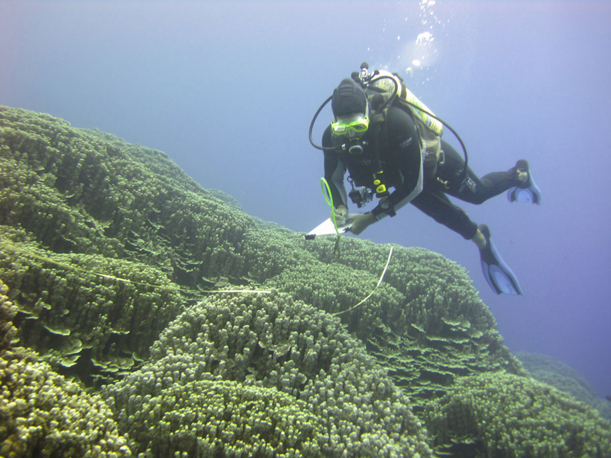 A photograph of a scuba diver swimming over a large stretch of coral while writing on a clipboard.