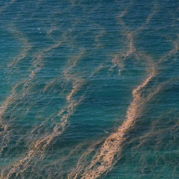 An aerial photograph of the surface of the ocean which is dark blue in color with several long light-brown tendrils across the top.