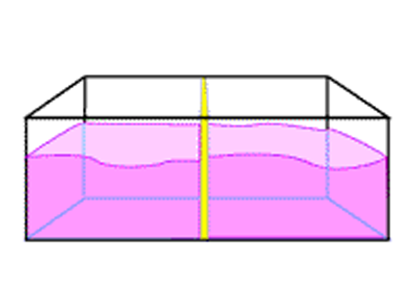 A schematic of a tank water tank filled with purple liquid, and partitioned into left and right halves with a yellow divider. The left and right side are both light purple.