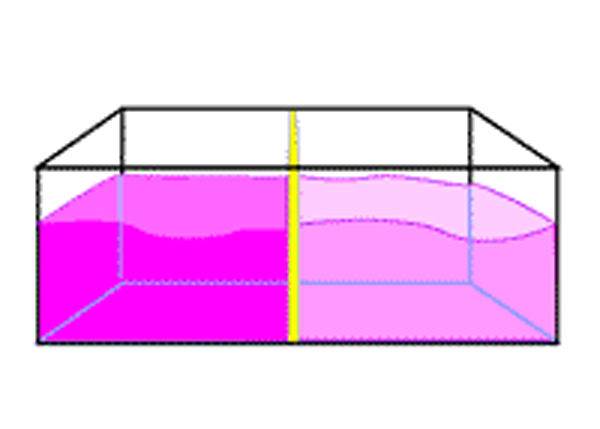 A schematic of a tank water tank filled with purple liquid, and partitioned into left and right halves with a yellow divider. The left side is a deeper purple than the right side.
