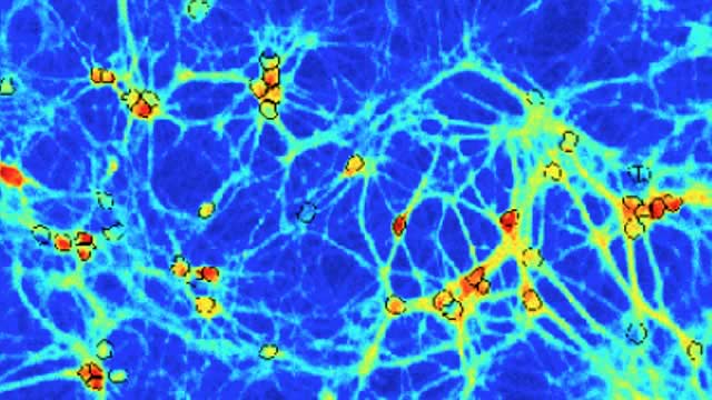 Bright spots on an computer-generated image show nerve cell activity