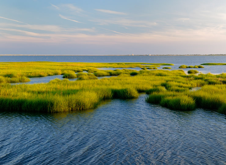 A coastal salt marsh habitat of grass emerging in patches from an ocean. Click for larger image.